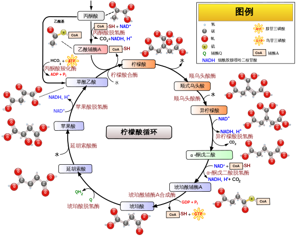 古特生物