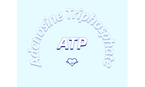 ATP補充劑對運動有什么益處？